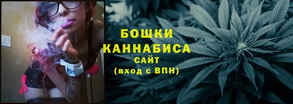 хмурый Касимов
