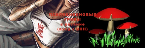 молекула духа Карталы