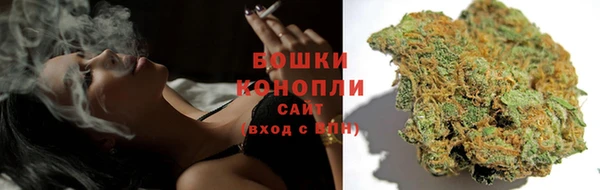 винт Карпинск