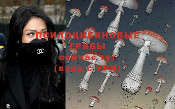 хмурый Касимов