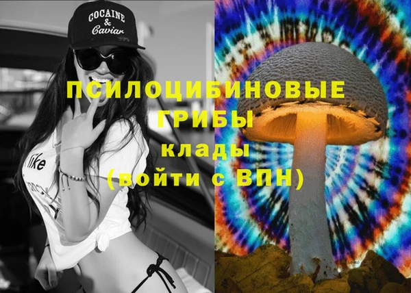 хмурый Касимов
