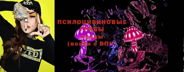 хмурый Касимов