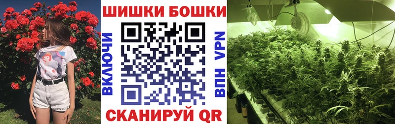 Бошки марихуана SATIVA & INDICA  магазин продажи наркотиков  Южа 